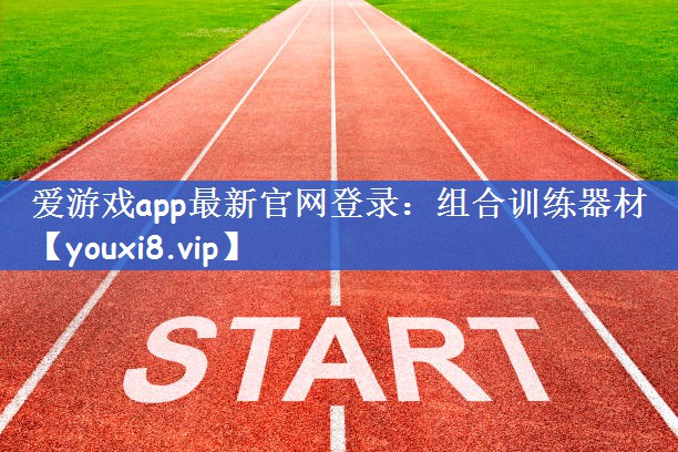 爱游戏app最新官网登录：组合训练器材