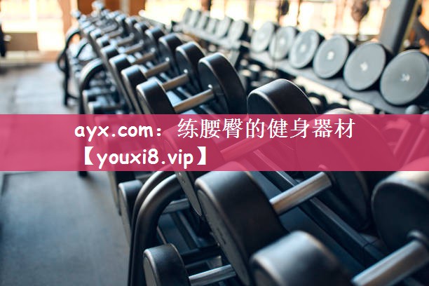 ayx.com：练腰臀的健身器材