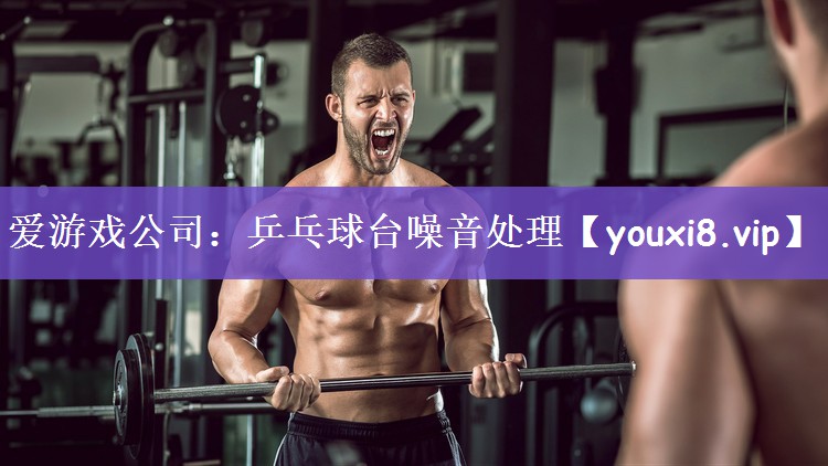 爱游戏公司：乒乓球台噪音处理