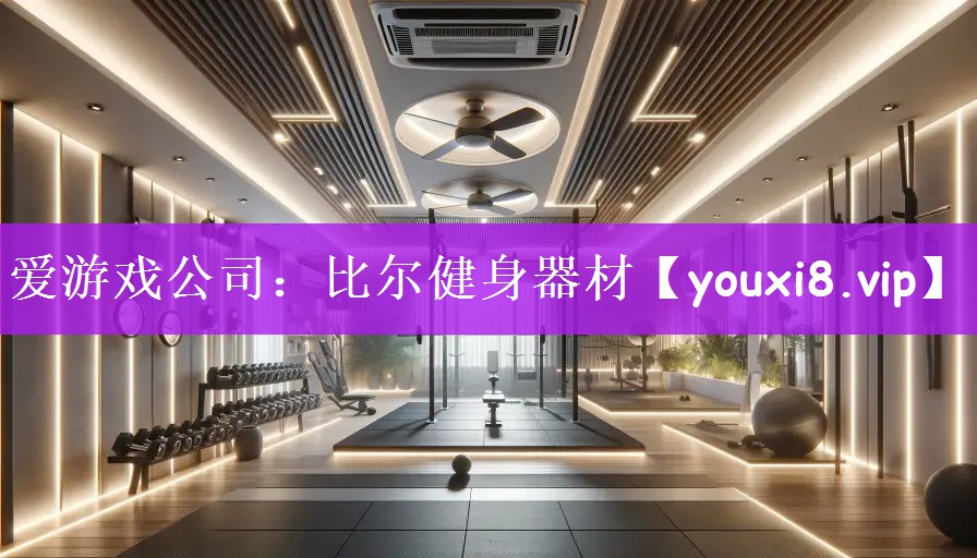 爱游戏公司：比尔健身器材