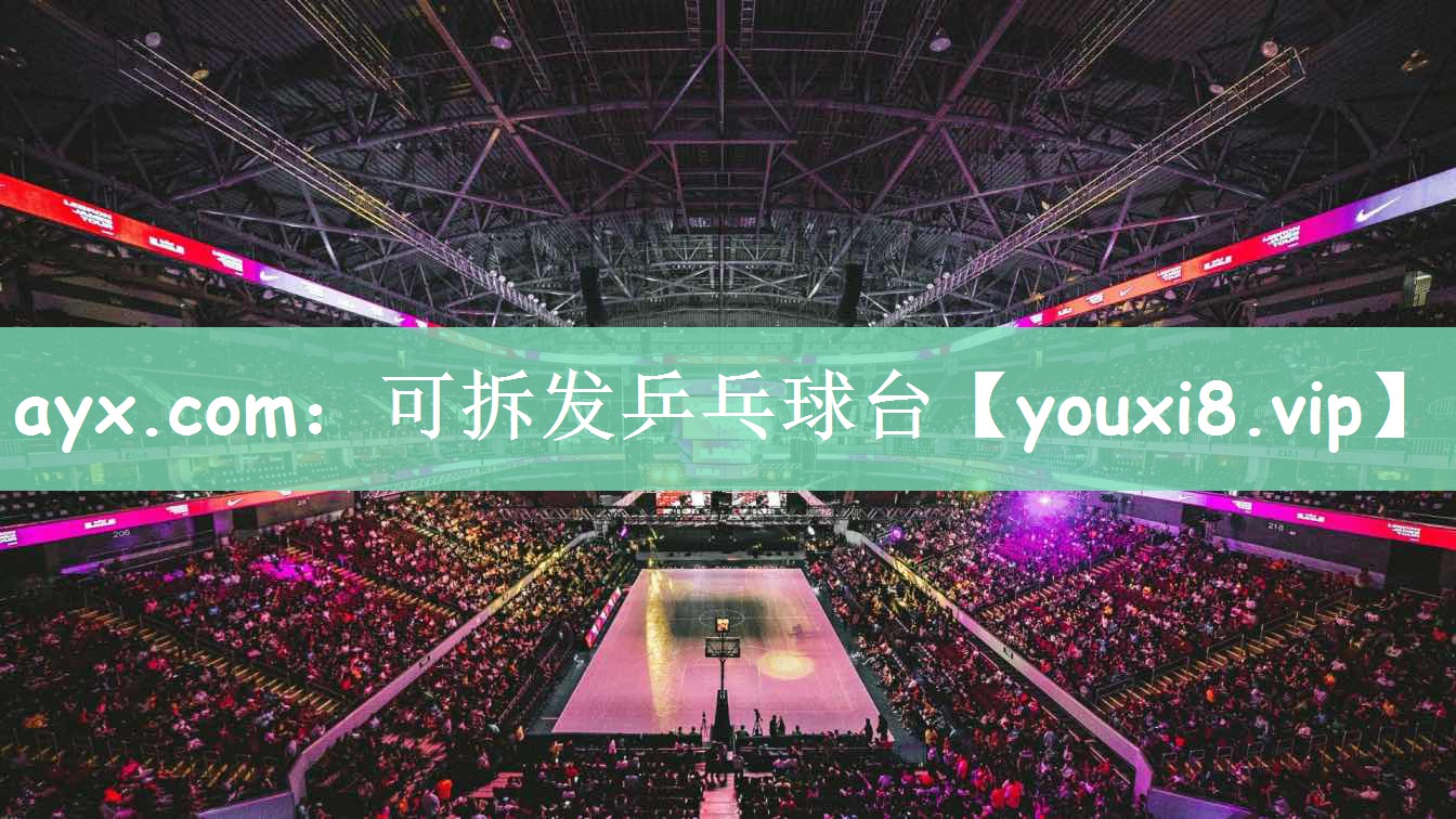 ayx.com：可拆发乒乓球台