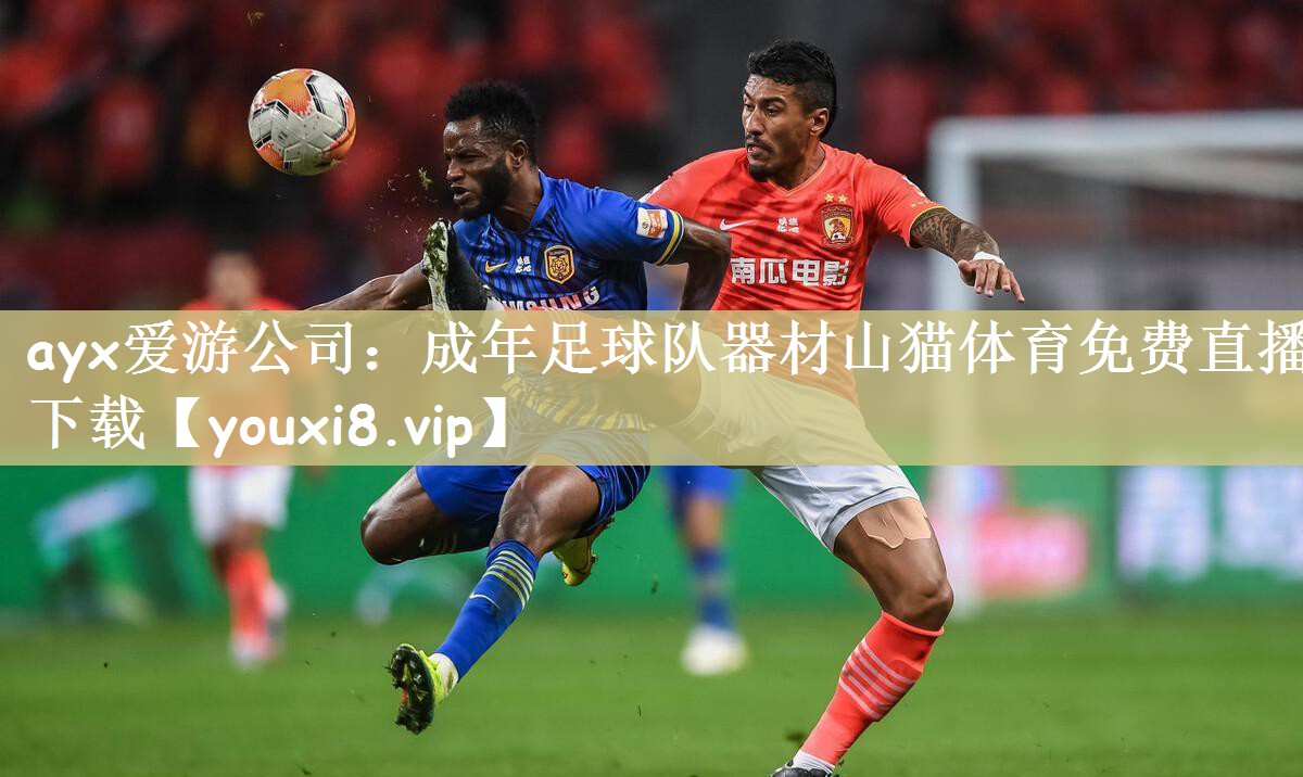 ayx爱游公司：成年足球队器材山猫体育免费直播下载