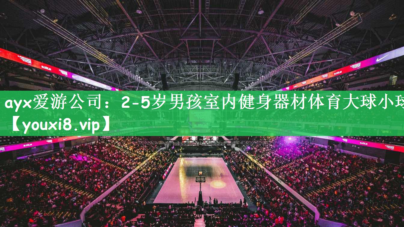 ayx爱游公司：2-5岁男孩室内健身器材体育大球小球