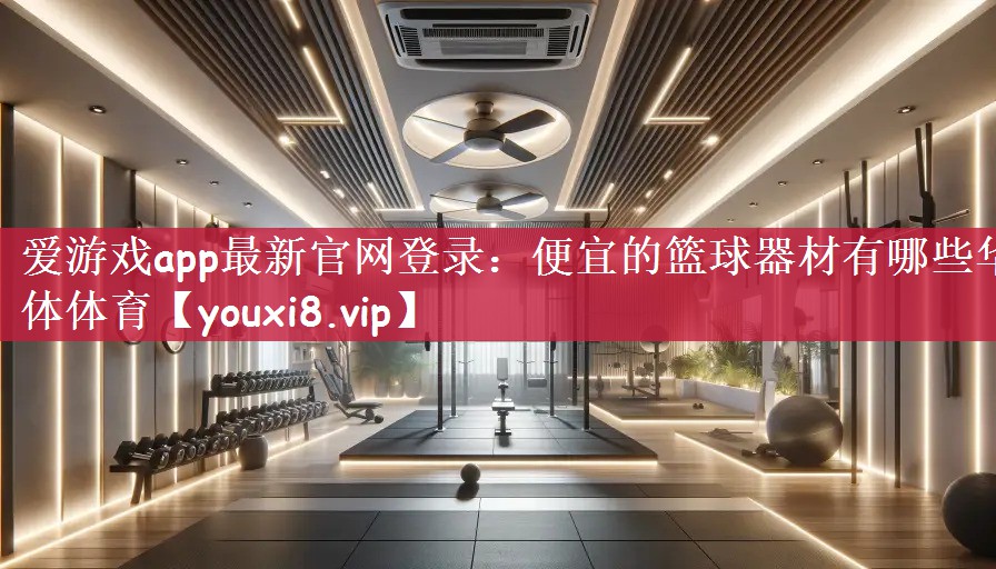 爱游戏app最新官网登录：便宜的篮球器材有哪些华体体育