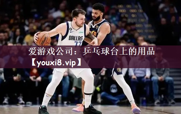 爱游戏公司：乒乓球台上的用品
