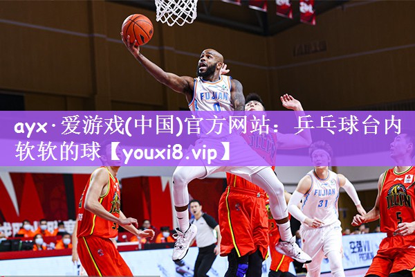 乒乓球台内软软的球
